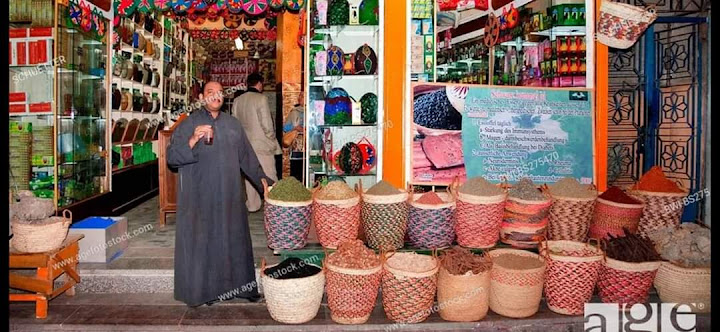 النوبة النوبيين أسوان مصرHisham abd alaziz سوف تسوق تسويق