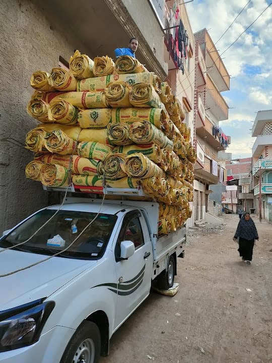 من دمنهور