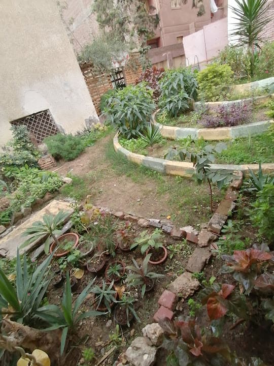 المدرسة الفكرية