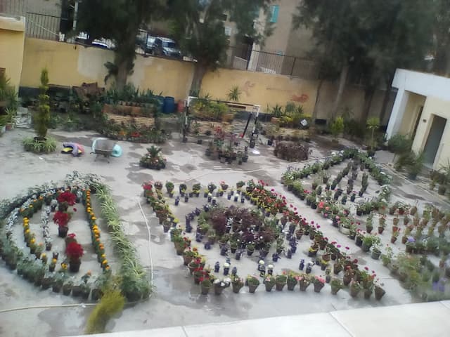 مدرسة الشهيد أحمد عفت