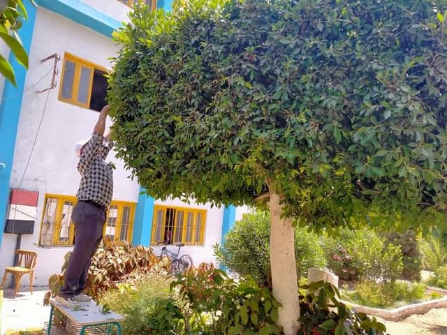 Moaz bin Jabal Secondary School for Girls