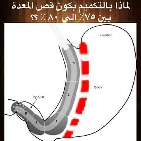 School Hoda Shaarawi