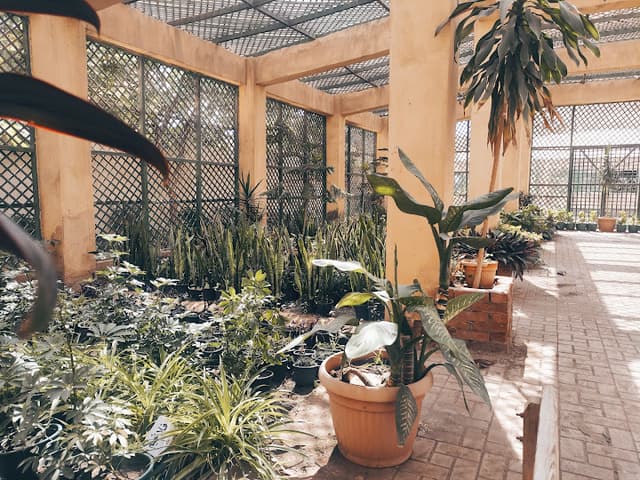 High Agricultural School