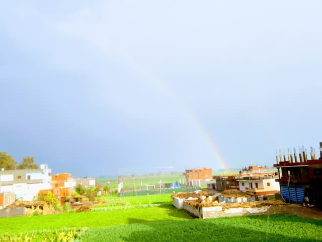 مدرسه ميت الديبه الرياضيه (ابتدائي واعدادي)