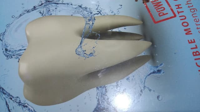 عياده الدكتور احمد محمد حلمي