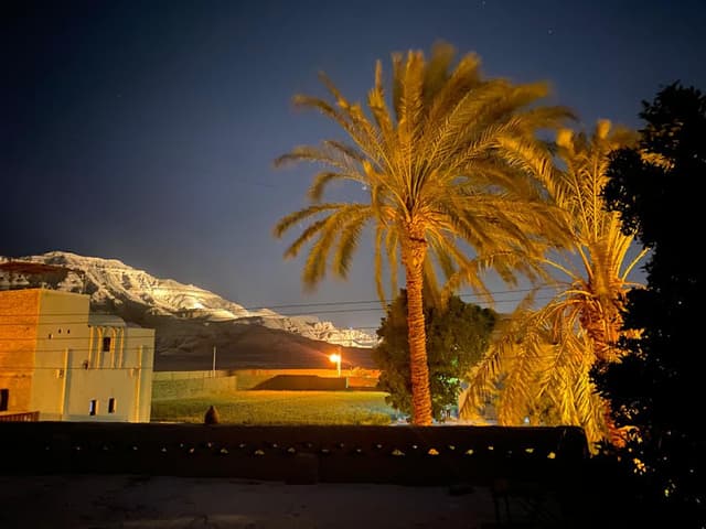 Desert rose guest house