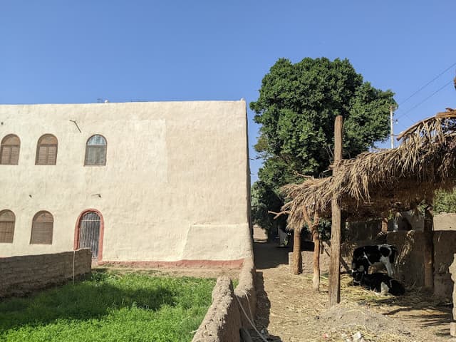 Nour El Balad