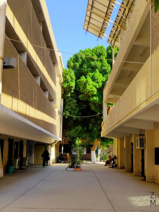 Faculty Of Fine Arts - Luxor University