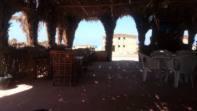 كافتريا ابو فهد