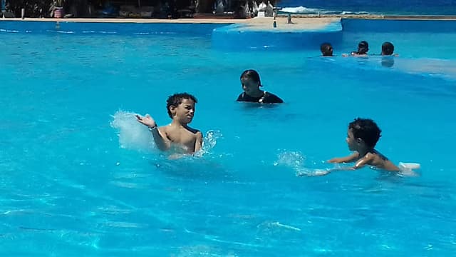 الكافيه اللى على البحر