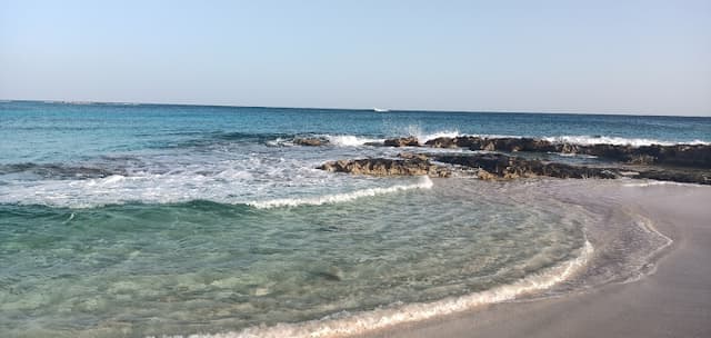 كوفي شوب الواحه