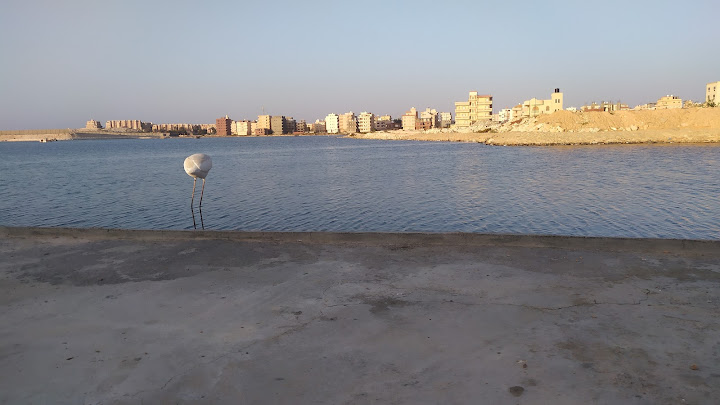كافيه الطباخ
