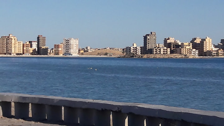 كافيتريا شالي سيوة (السيوية)