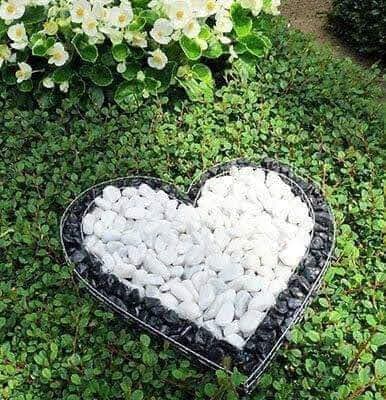 School Matrouh Secondary New Girls