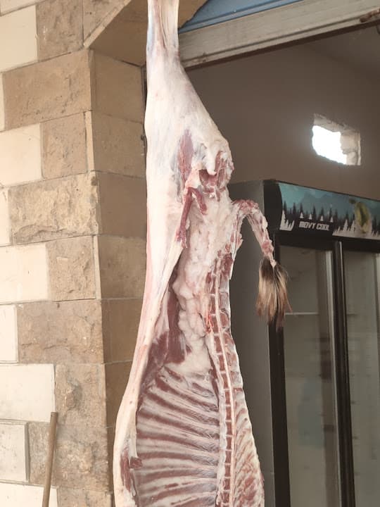 جزاره ومشويات بو دال