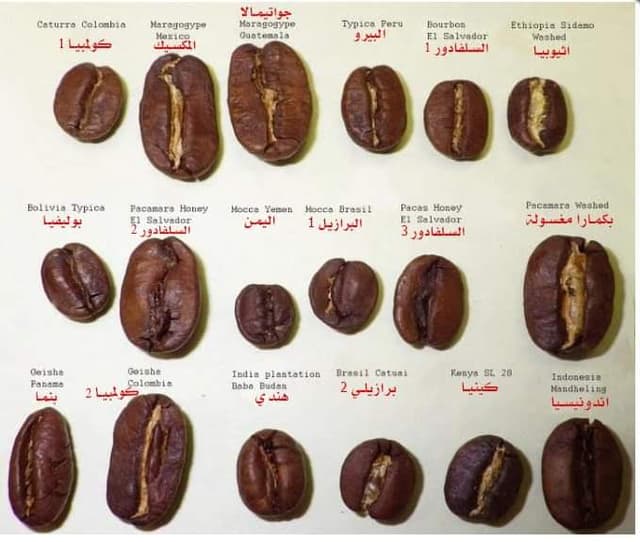 مطحن بن حصاد