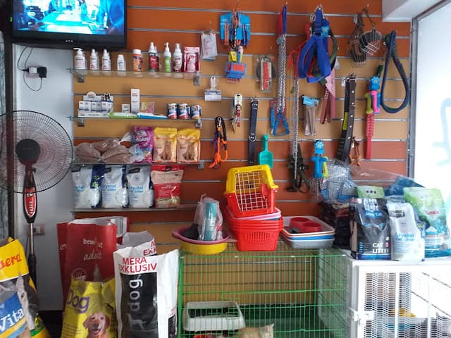 Portfouad veterinary clinic عيادة بورفؤاد البيطريه