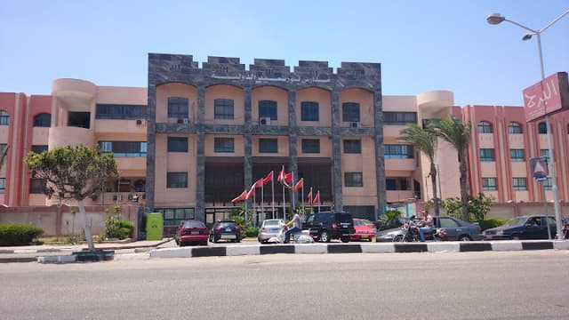 Port Said International School