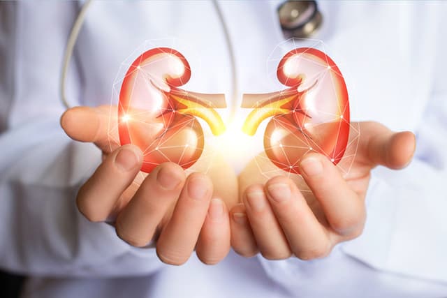 Dr.hussein elhetemy clinic