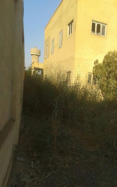 مستشفى هورين
