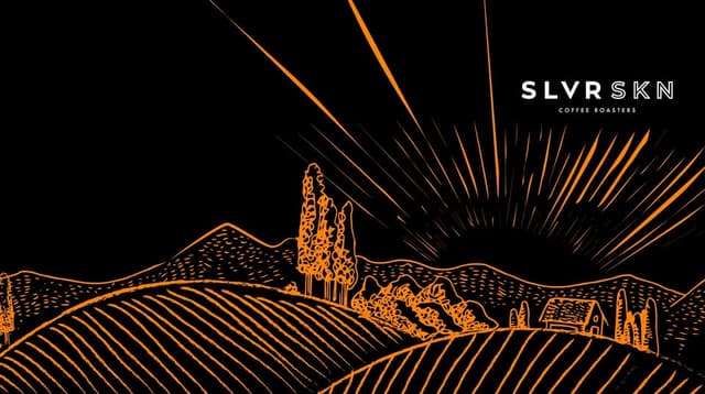 SLVRSKN Coffee Roasters