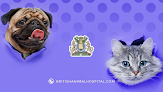 British Animal Hospital - Garden City
