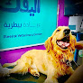 Aleefak Veterinary Clinic Nasr City - عيادة أليفك البيطرية مدينة نصر