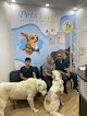 pets well