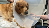 British Animal Hospital - Zamalek