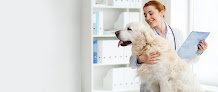 Ozone Pets Clinic عيادة أوزون البيطرية On Call 24H. Emergency