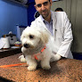 Egyvet Clinic