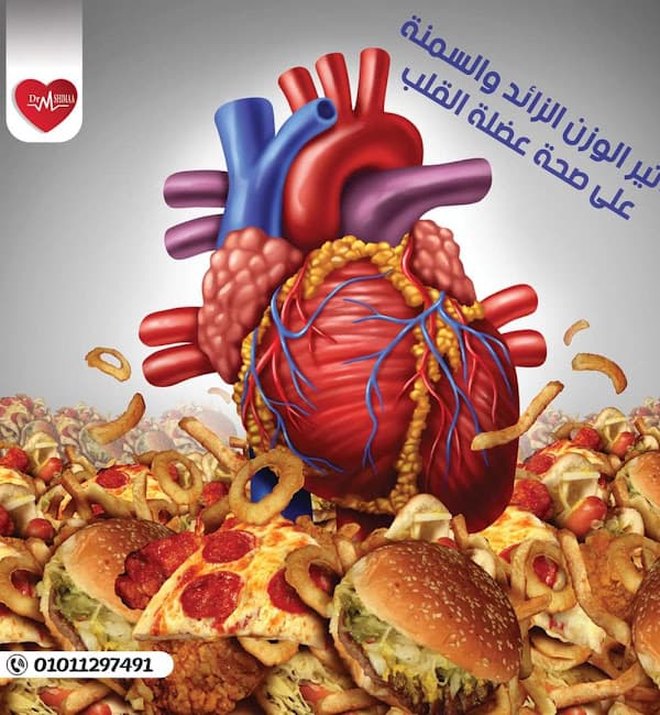 عيادة دكتورة شيماء احمد عبدالحي لامراض الباطنة والقلب