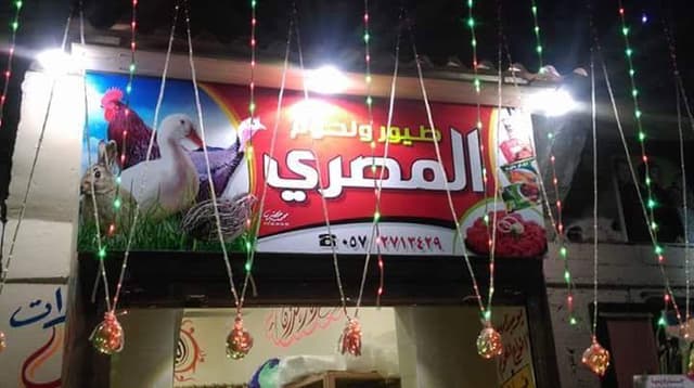 طيور المصري