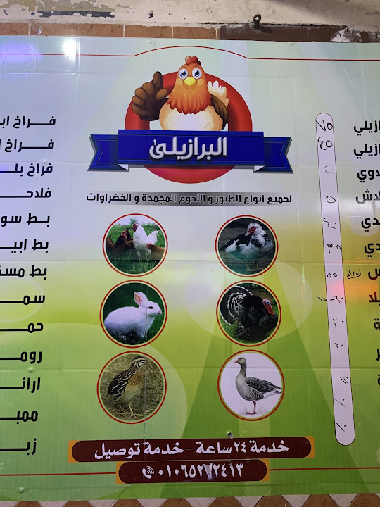 البرازيلي لجميع انواع الطيور والحوم المجمده والخضروات بسمنود