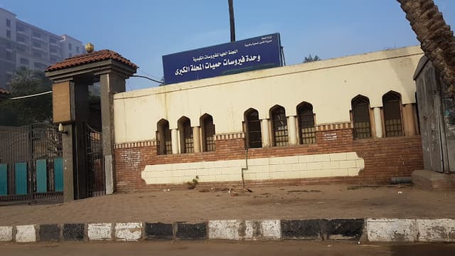 Mahalla Fever Hospital