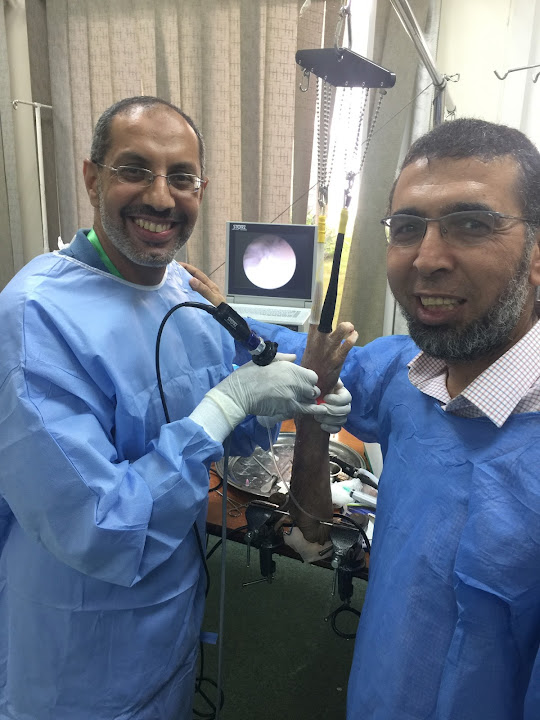 عيادة الدكتور أحمد الدسوقى