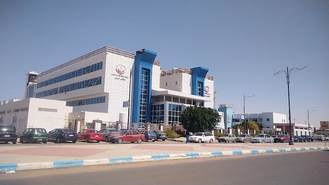 Suez Microsurgery Hospital