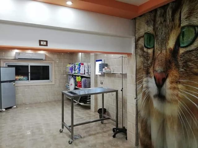 my pet center