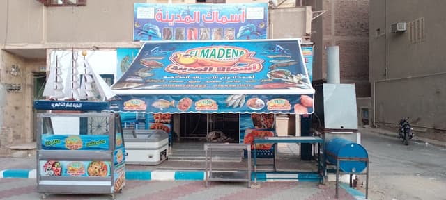 أسماك المدينة