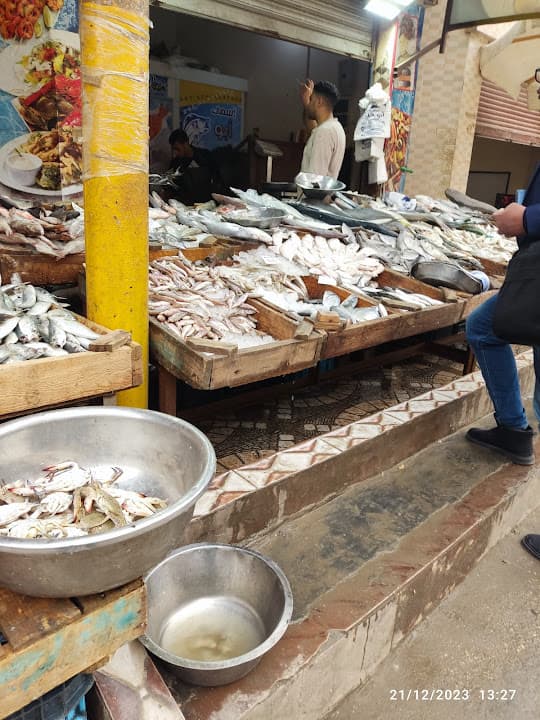اسماك ابو علاء ..