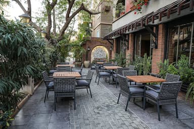 Schatz Social House
