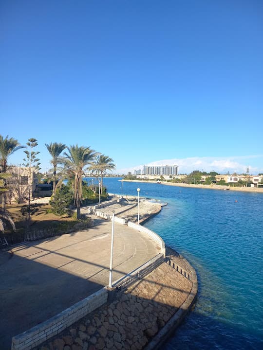 Blue Whale Sea Side Resote