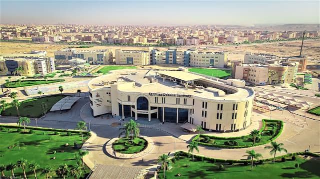 الجامعة المصرية الروسية