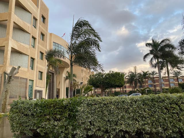 جامعة مصر الدولية