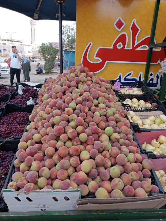 القبيصى - Al-Qobesy