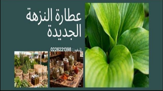 عطارة النزهة الجديدة