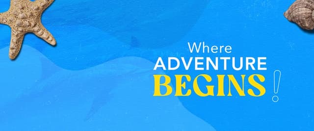 Shox Travel - شوكس ترافيل