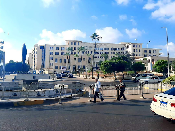 El Mowasah Hospital