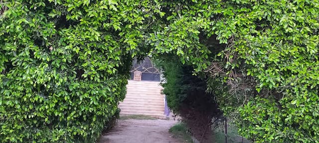 مدرسة عزيز المصري الإعدادية بنين