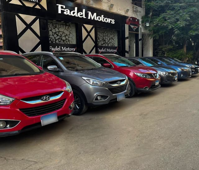 Fadel Motors 2